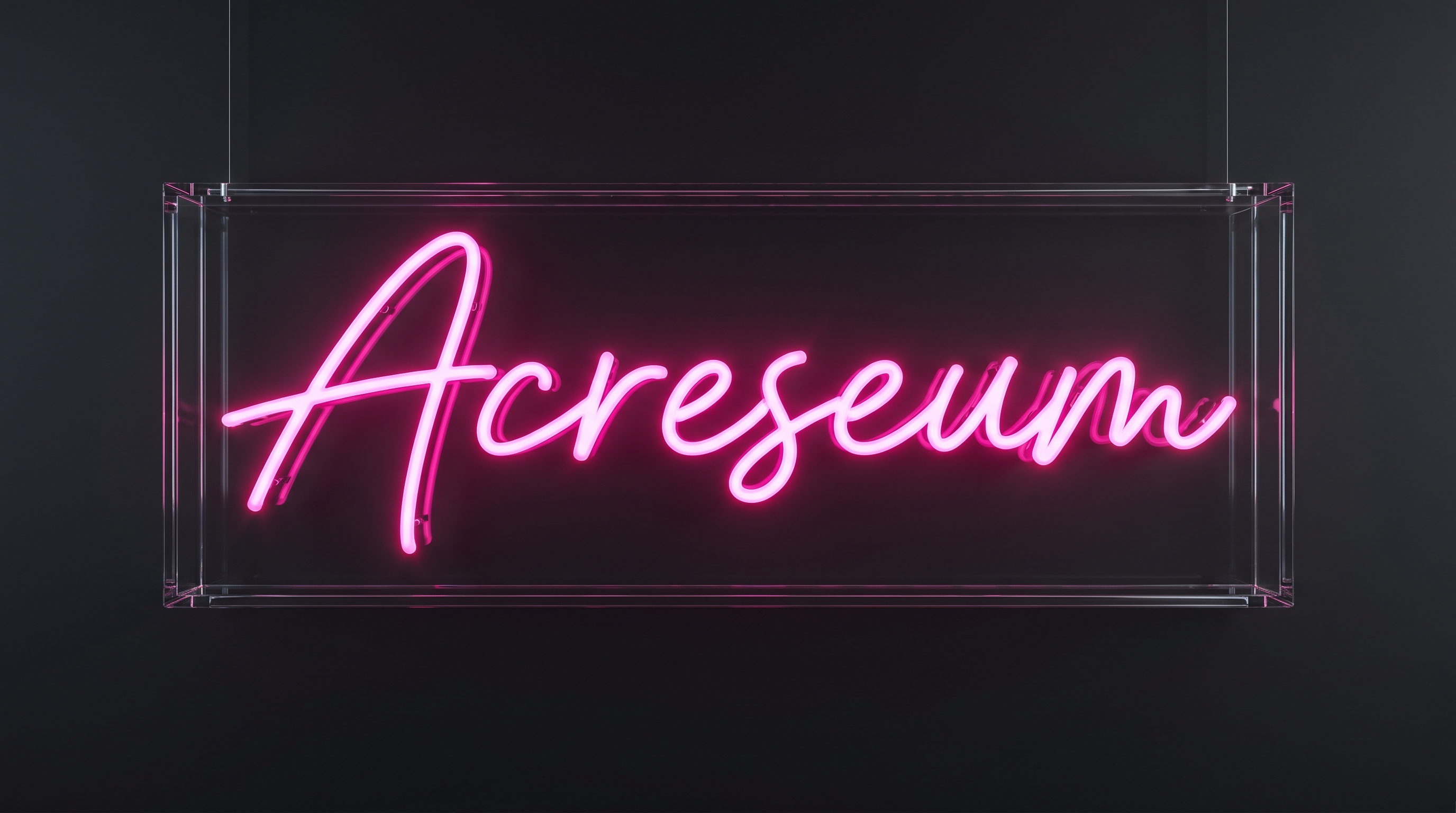 Neon Sign Customization  Hand-Bent LED Neon Signs for Home, Business & Weddings